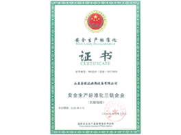 安全生产标准化证书